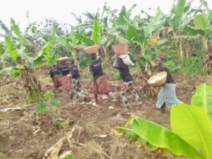 22329a5a-6a9b-4a51-b567-96da1b3fc801