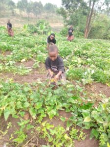 ba558048-2a1b-490e-ae2a-7d9b1258946c