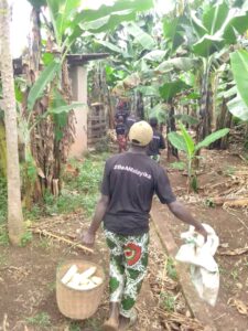 c36d9562-6f0b-4c29-a361-93d0f3793beb